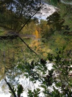 Reflection in Moorman River